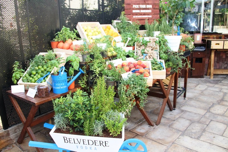 Belvedere Garden Party